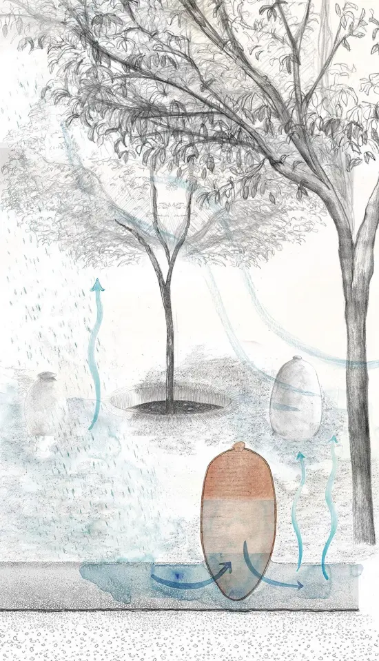 Aquifère drawing showing water, a porous vessel and evaporation beneath a tree