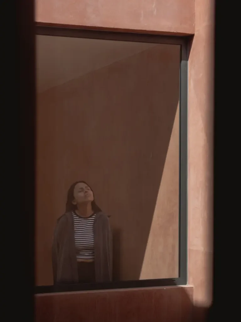 H?sho House Finds Privacy Through Courtyards and Light