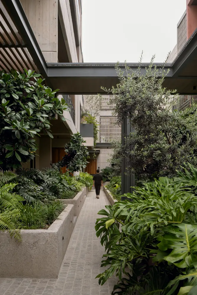ZAYMA courtyard by 0studio Arquitectura; photograph by César Belio